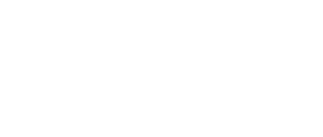 BillWise Logo